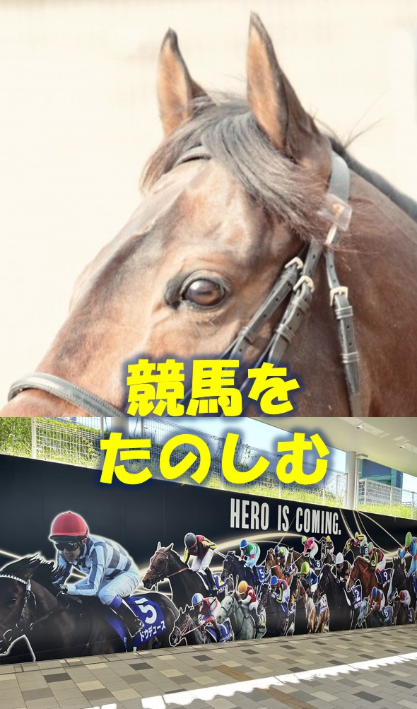 競走馬と騎手